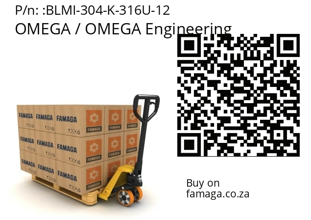   OMEGA / OMEGA Engineering BLMI-304-K-316U-12